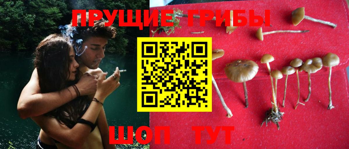 Галлюциногенные грибы мицелий  Вход с VPN  Нурлат 