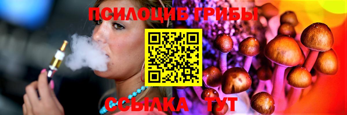 Галлюциногенные грибы Psilocybine cubensis Нурлат