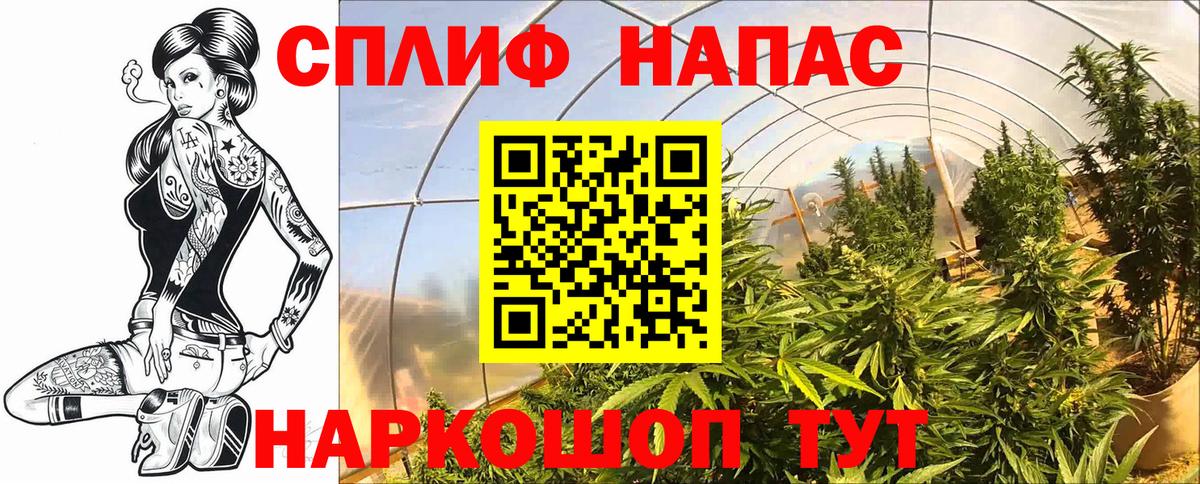 Марихуана тримм  Вход с VPN  Нурлат  Конопля ГИДРОПОН 
